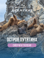 Тур на остров Путятина (сивучи, ларги, Мраморная бухта)