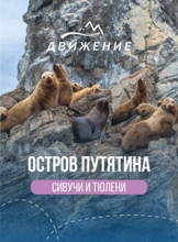 Тур на остров Путятина (сивучи, ларги, Мраморная бухта)