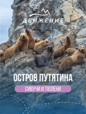 Тур на остров Путятина (сивучи, ларги, Мраморная бухта)