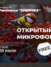 Стендап. Открытый микрофон