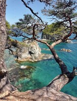 Тур «Мыс Сосновый + мыс Брюса + морские котики» на катере