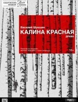 Спектакль "Калина красная"