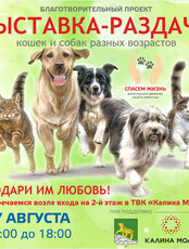Благотворительная выставка-раздача животных
