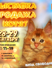 Выставка-продажа котят