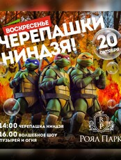Развлекательная программа «Зажигательное воскресенье»