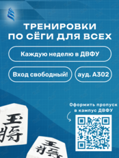 Тренировки по Сёги