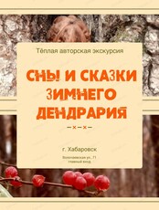 Экскурсия  "Сны и сказки зимнего дендрария"