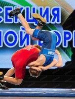 Чемпионат Хабаровского края по спортивной борьбе