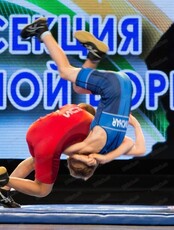 Чемпионат Хабаровского края по спортивной борьбе