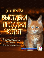 Выставка-продажа котят