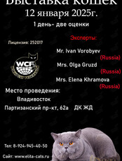 Международная выставка кошек