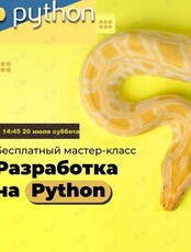 Бесплатный мастер-класс для старшеклассников и взрослых «Возьмись за Python!»