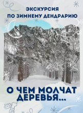 Тёплая экскурсия по зимнему Дендрарию "О чём молчат деревья"