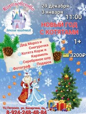 Праздничная программа «Новый год с Котятами»