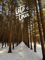 Тур «Кедровый бор»