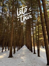 Тур «Кедровый бор»