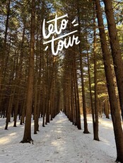 Тур «Кедровый бор»