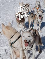 Тур «Катание на упряжках с хаски + скала Пржевальского»