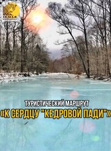 Экскурсия «К сердцу "Кедровой пади"» на «Земле леопарда»