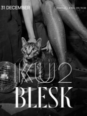 Вечеринка BLESK