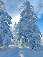 Поход на гору Изюбриная (1433 м)