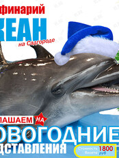 Дельфинарий