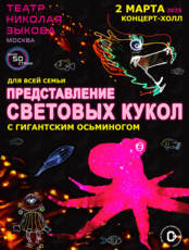 Театр Николая Зыкова: представление световых кукол