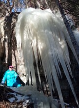 Экскурсия «Царство лесных сосулек»