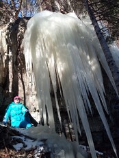 Экскурсия «Царство лесных сосулек»
