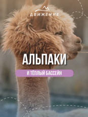 Экскурсия «Водопады, альпаки и капибары»