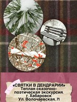 Экскурсия по хабаровскому дендрарию "В рождество все немного волхвы"