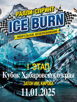 Кубок Хабаровского края по ралли-спринту Ice burn