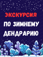 Зимняя экскурсия по Дендрарию "О чём молчат деревья"