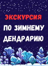 Зимняя экскурсия по Дендрарию "О чём молчат деревья"