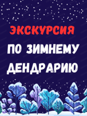 Зимняя экскурсия по Дендрарию "О чём молчат деревья"