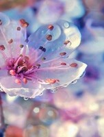 Концерт «Мелодии юга»
