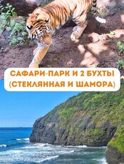 Тур «Сафари-Парк и две бухты (Стеклянная, Шамора)»