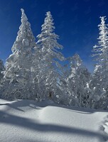 Тур «Восхождение на Изюбриную»