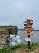 Экскурсия «Остров Русский, мыс Тобизина и Владивостокская крепость»