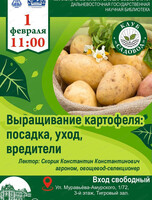 Занятие в клубе "Садовод" на тему "Выращивание картофеля: посадка, уход, вредители"