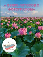 Экскурсия  "Озеро лотосов с фотографом: волшебное место для незабываемой прогулки"