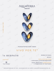 Романтический ужин Vivo per te