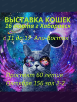 Выставка кошек