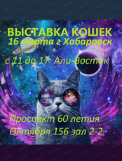 Выставка кошек