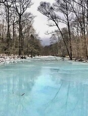 Зимнее путешествие к сердцу заповедника Кедровая падь (2 дня)