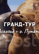 Гранд-тур «Аскольд + о. Путятина и морские львы»