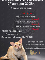 Международная выставка кошек