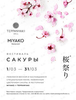 Фестиваль сакуры