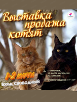 Выставка-продажа котят