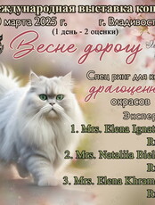 Международная выставка кошек